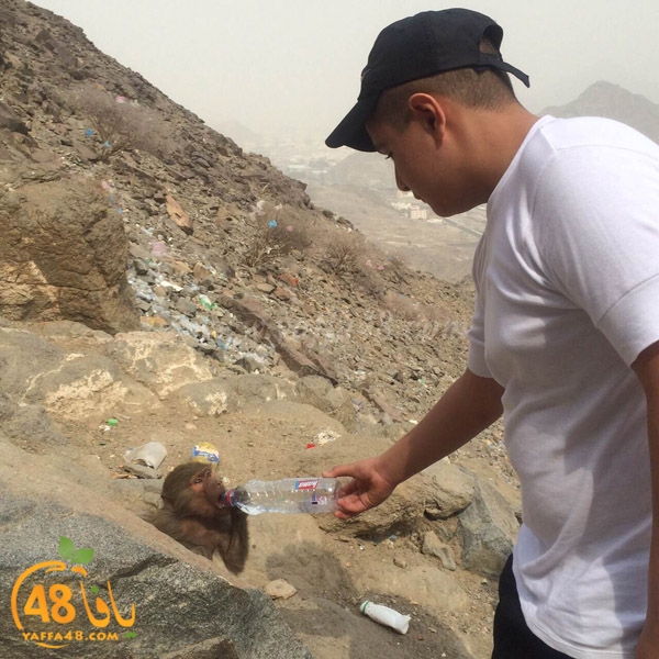 mo3tmreen yaffa inmkae (63).JPG